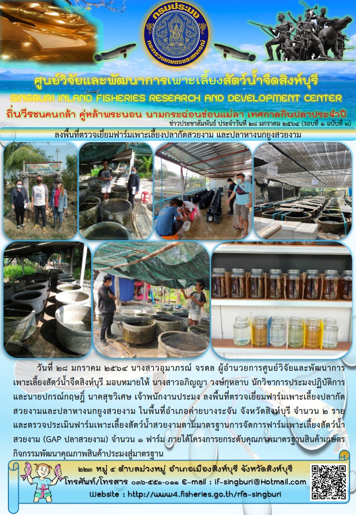 ลงพื้นที่ตรวจเยี่ยมฟาร์มเพาะเลี้ยงปลากัดสวยงาม และปลาหางนกยูงสวยงาม..คลิก