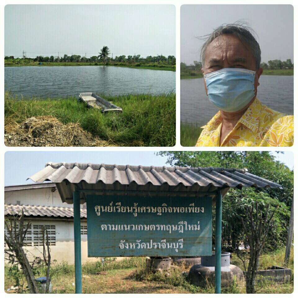 ติดตามการพัฒนาศูนย์เรียนรู้เศรษฐกิจพอเพียงตามแนวเกษตรทฤษฎีใหม่@โครงการพัฒนาส่วนพระองค์ตำบลบางแตน..คลิก