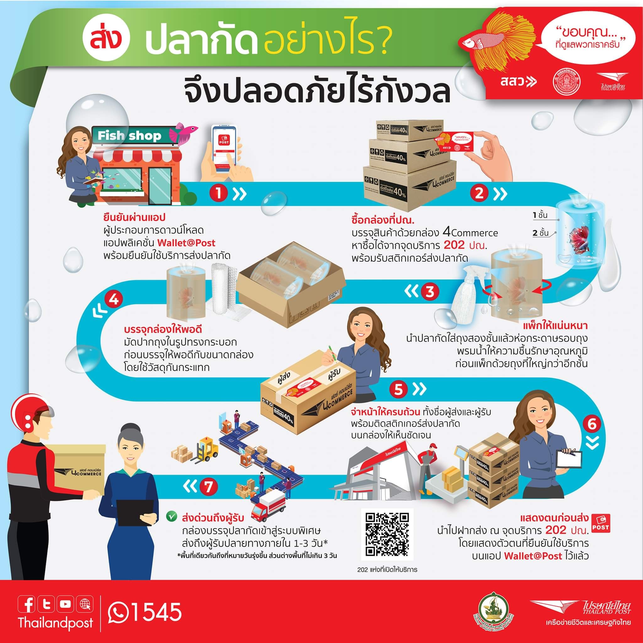 ปลากัด ส่งอย่างไร? จึงปลอดภัยไร้กังวล..คลิก