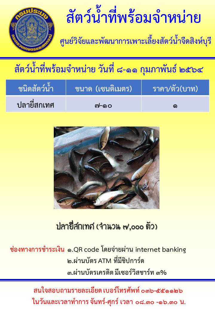 สัตว์น้ำพร้อมจำหน่าย ระหว่างวันที่ 8-11 กุมภาพันธ์ 2564..คลิก