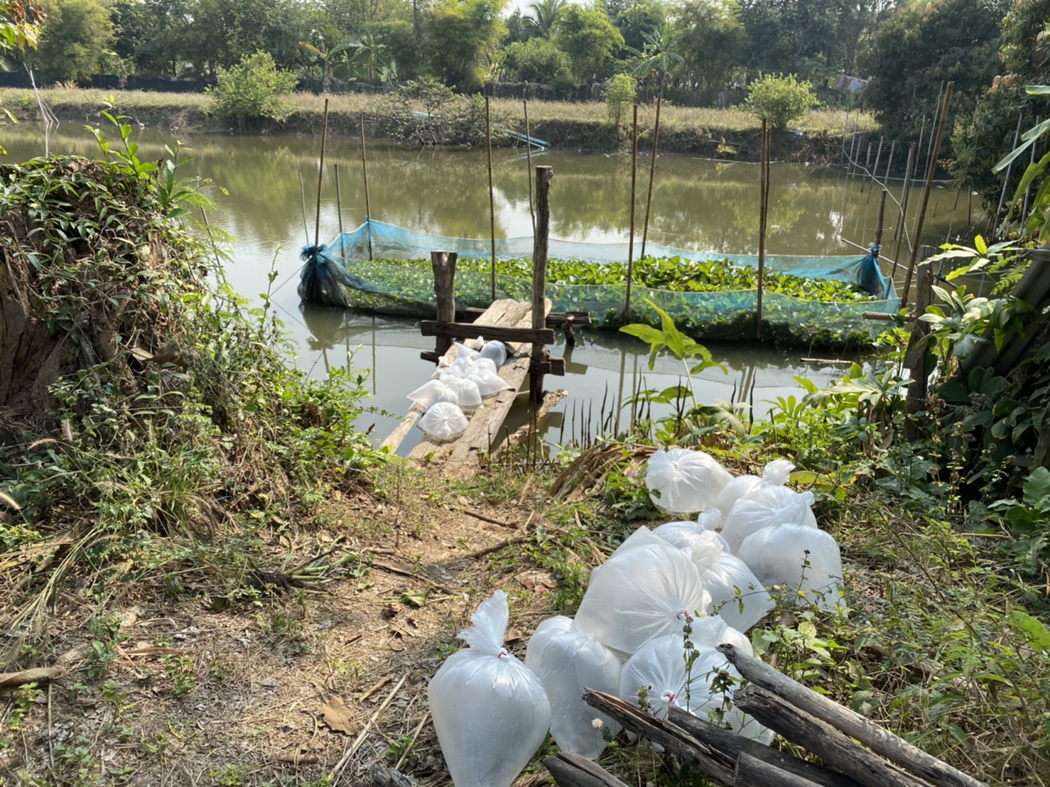 วันที่ 16 กุมภาพันธ์ 2564 นายไพศาล ศรีคูณ นักวิชาการวันที่ 16 กุมภาพันธ์ 2564 นายไพศาล ศรีคูณ นักวิชาการประมง..คลิก