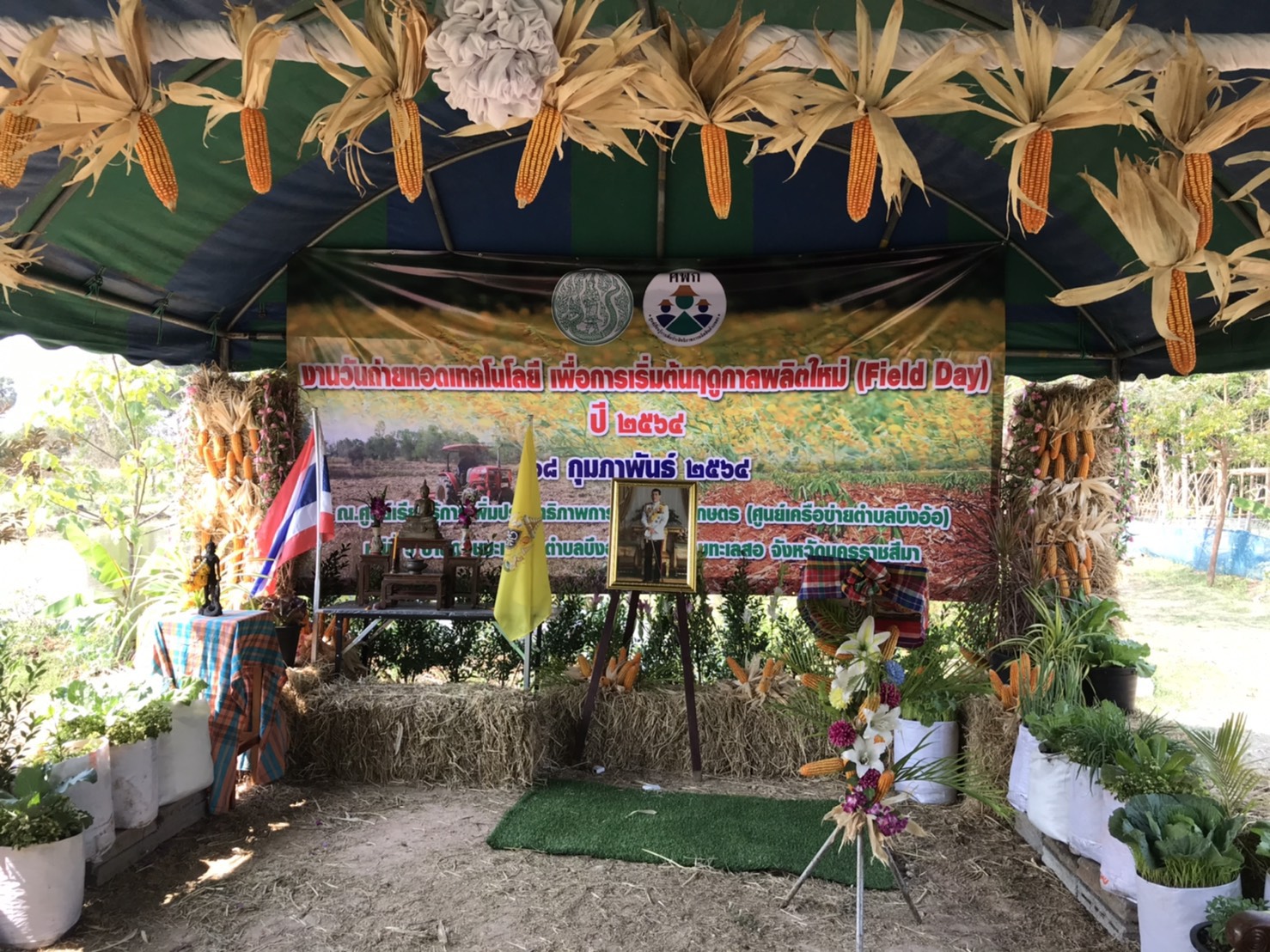 สำนักงานประมงจังหวัดนครราชสีมาร่วมกิจกรรมงานวันถ่ายทอดเทคโนโลยีเริ่มต้นการผลิตใหม่ (Field Day) ณ ศพก.เครือข่าย บ้านดอนมะเกลือ ตำบลบึงอ้อ อำเภอขามทะเลสอ..คลิก