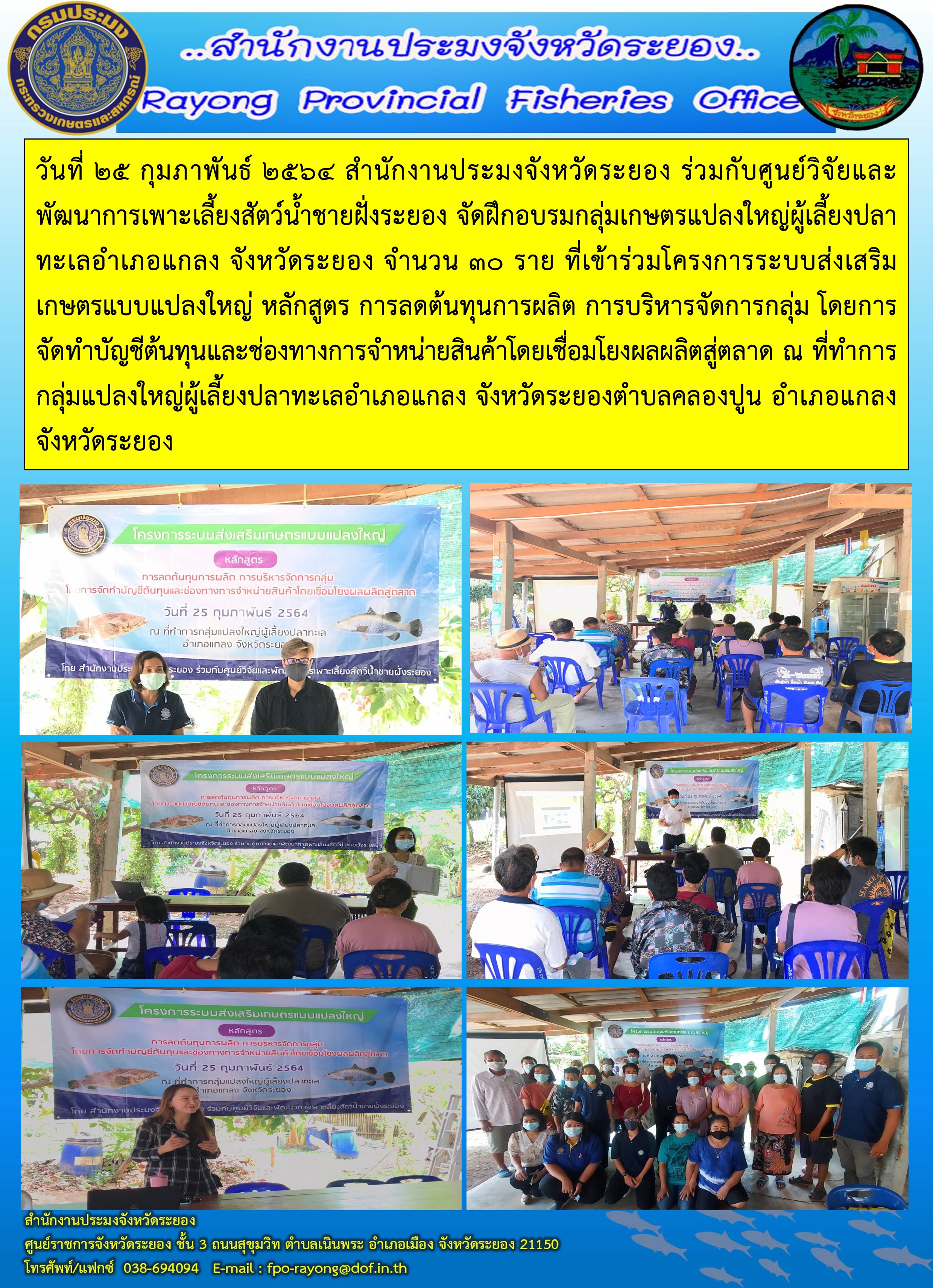 วันที่ 25 กุมภาพันธ์ 2564 สำนักงานประมงจังหวัดระยอง ร่วมกับศูนย์วิจัยและพัฒนาการเพาะเลี้ยงสัตว์น้ำชายฝั่งระยอง จัดฝึกอบรมกลุ่มเกษตรแปลงใหญ่ผู้เลี้ยงปลาทะเลอำเภอแกลง จังหวัดระยอง..คลิก