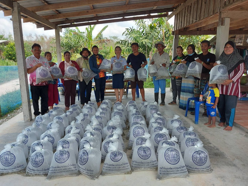 ร่วมมอบพันธุ์ปลาโครงการเกษตรทฤษฎีใหม่ ปี 64 อำเภอตะโหมด จังหวัดพัทลุง..คลิก
