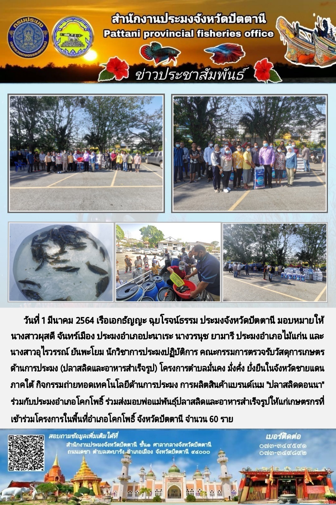 สำนักงานประมงจังหวัดปัตตานี ส่งมอบปัจจัยการผลิตโครงการตำบลมั่นคง มั่งคั่ง ยั่งยืน ในจังหวัดชายแดนภาคใต้ กิจกรรม สร้างทางเลือกอาชีพ การผลิตปลาสลิตดอนนาครบวงจร..คลิก