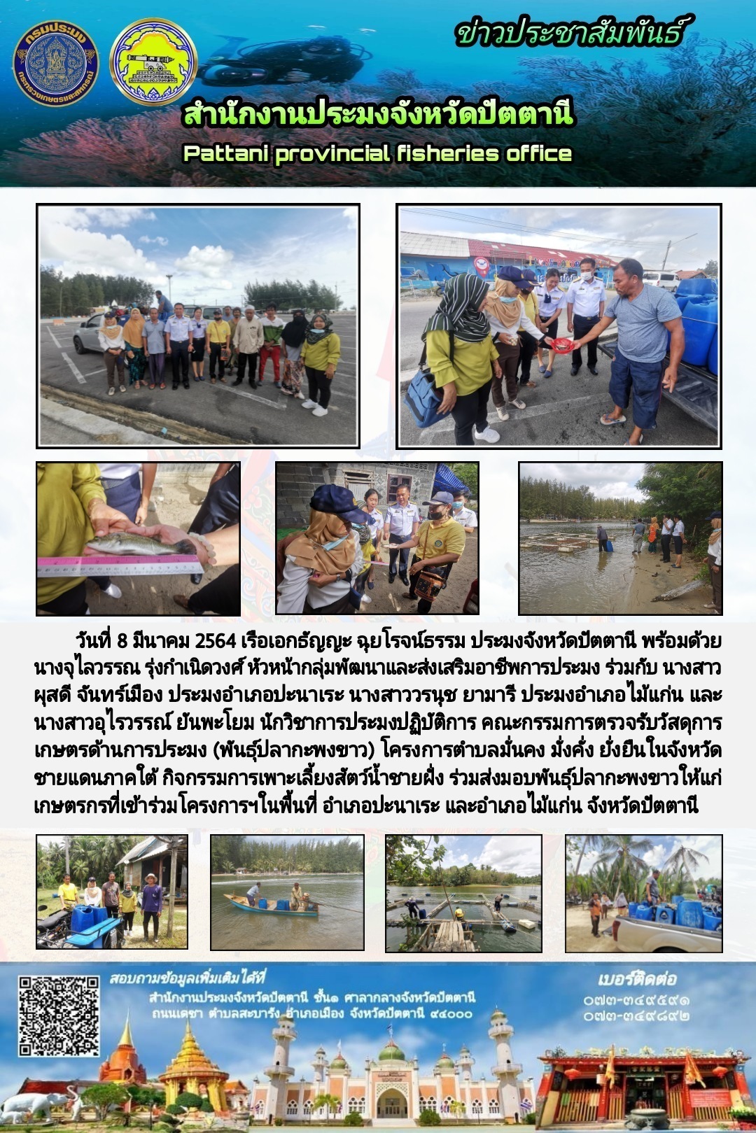 สำนักงานประมงจังหวัดปัตตานีส่งมอบพันธุ์ปลากะพงขาวให้แก่เกษตรกรที่เข้าร่วมโครงการตำบลมั่นคง มั่งคั่ง ยั่งยืน ในจังหวัดชายแดนภาคใต้ ปี 2564..คลิก