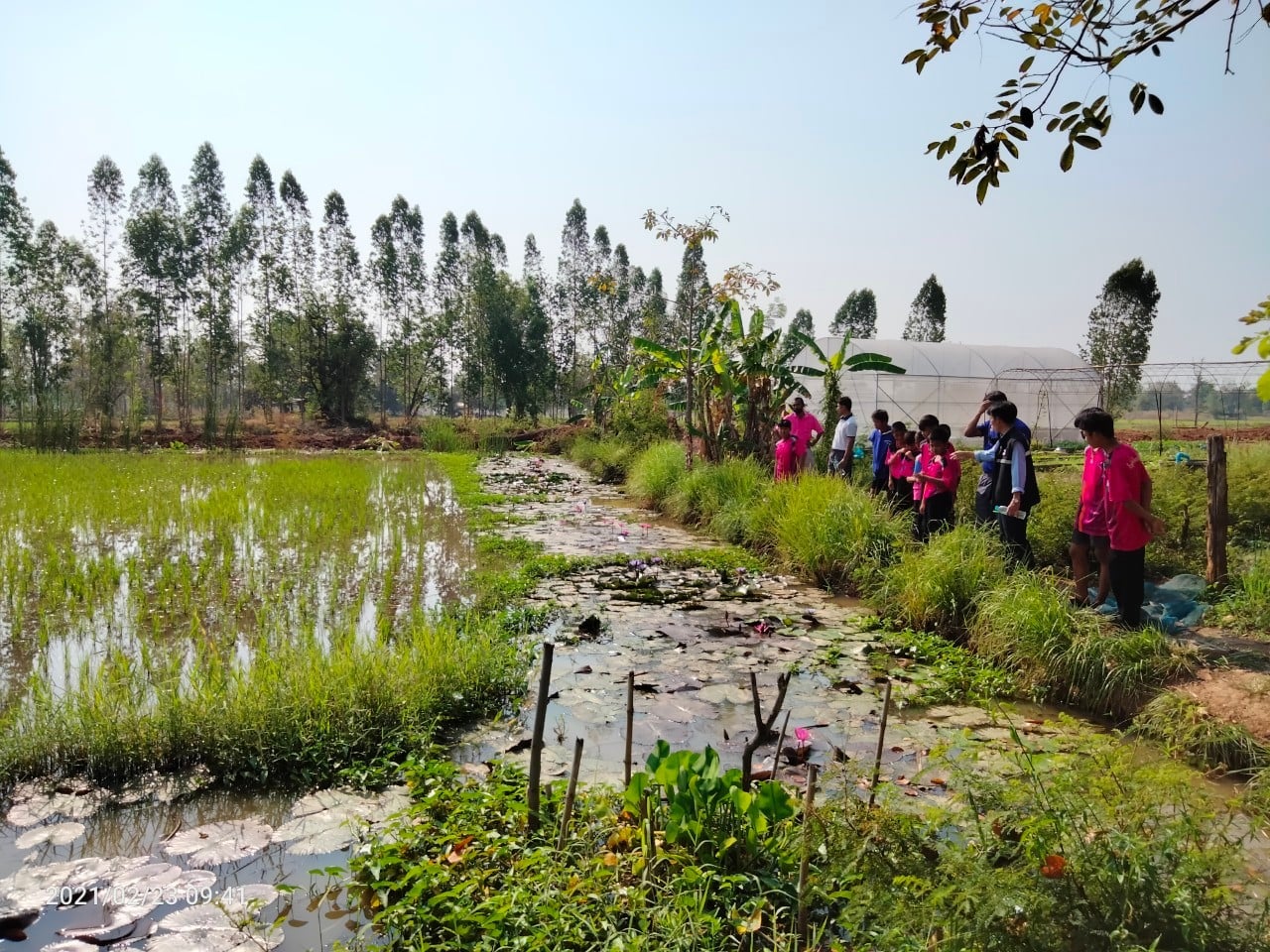 วันที่ 23 กุมภาพันธ์ 2564 เวลา 10.00 น. นายวิทยา ประเสริฐสังข์ ประมงอำเภอโนนสัง..คลิก