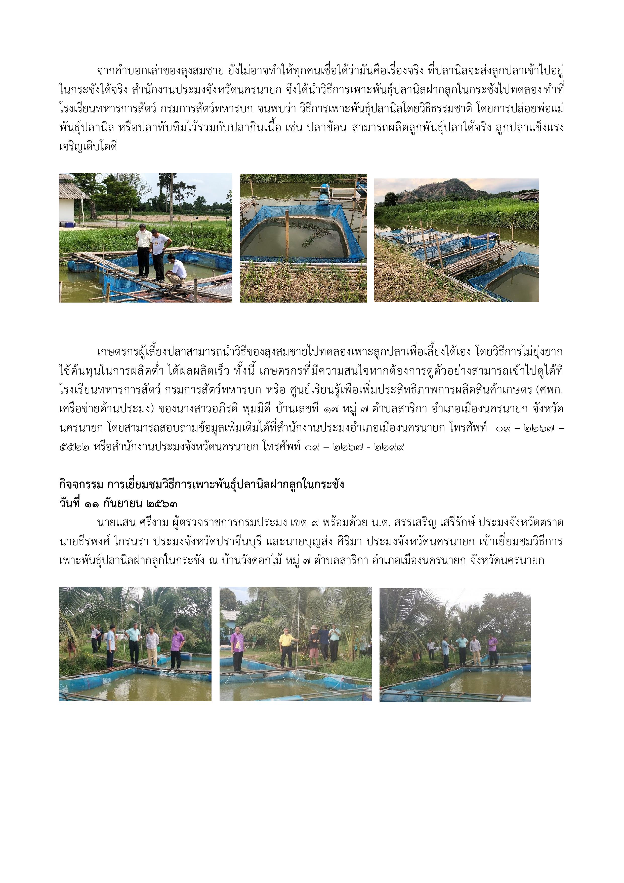 คัมภีร์ชีวิต การเพาะพันธุ์ปลานิล หรือ ปลาทับทิมฝากลูกในกระชัง โดยวิธีธรรมชาติ