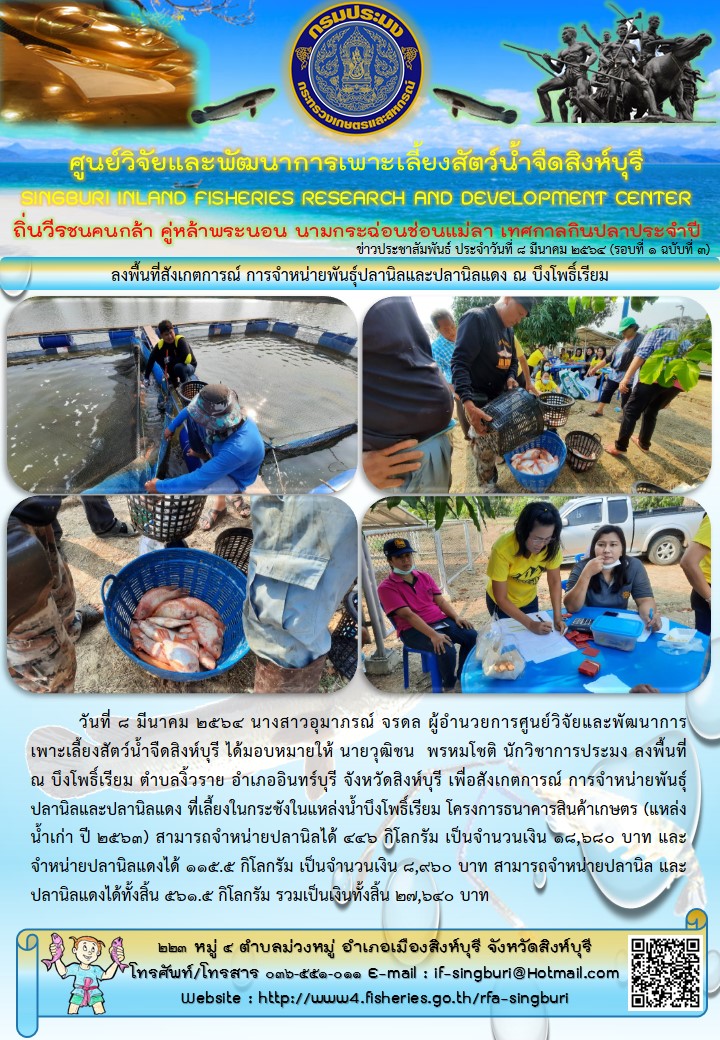 ลงพื้นที่สังเกตการณ์ การจำหน่ายพันธุ์ปลานิลและปลานิลแดง ณ บึงโพธิ์เรียม..คลิก