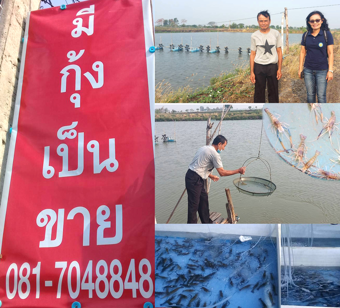 ลงพื้นที่เยี่ยมเยียนเกษตรกรผู้เลี้ยงกุ้งก้ามกรามแบบกึ่งพัฒนา อำเภอดอนพุด จังหวัดสระบุรี