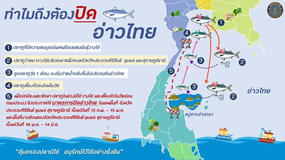 การกำหนดพื้นที่และระยะเวลาฤดูสัตว์น้ำมีไข่ฯ..คลิก