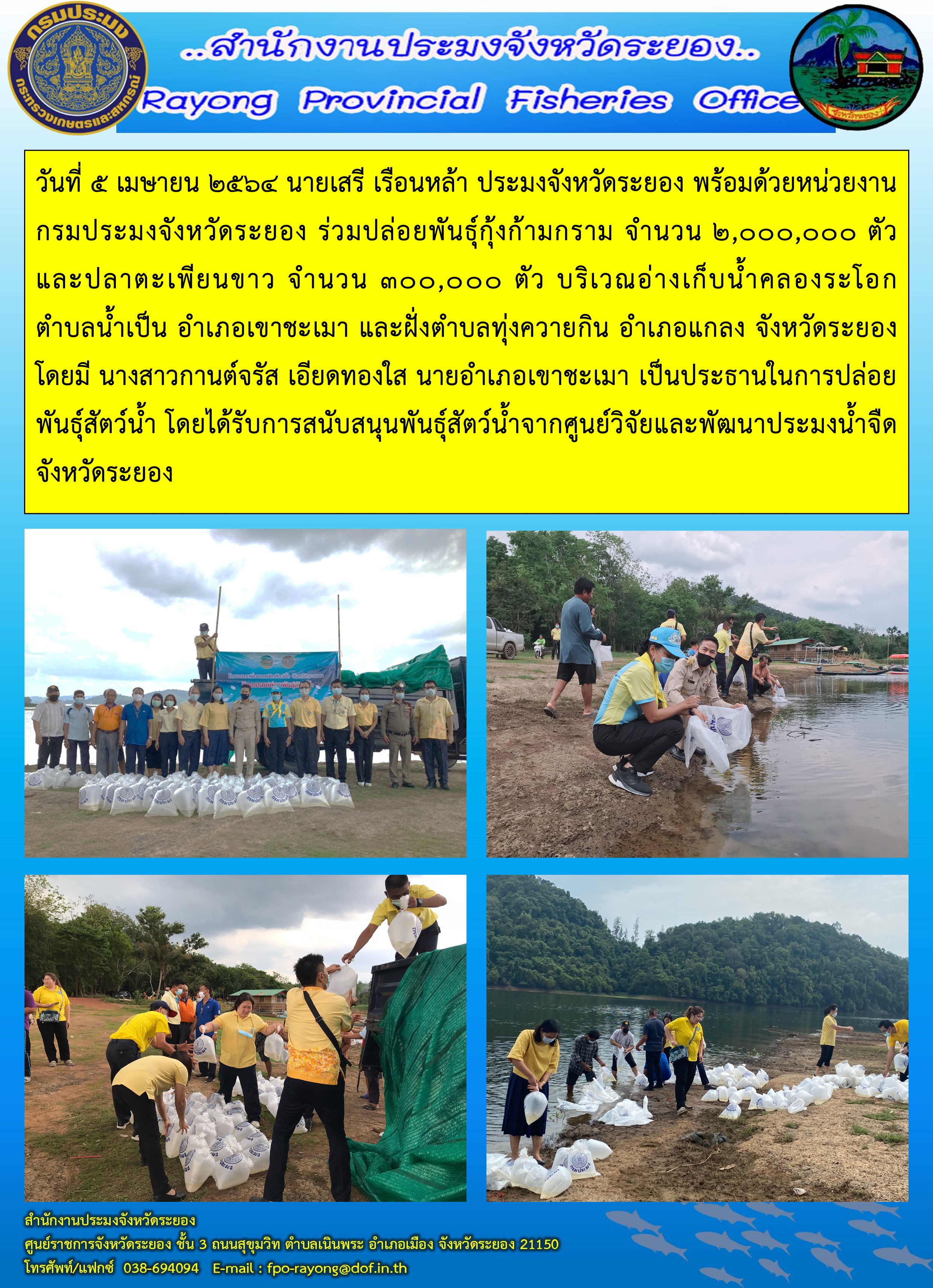 วันที่ 5 เมษายน 2564 นายเสรี เรือนหล้า ประมงจังหวัดระยอง พร้อมด้วยหน่วยงานกรมประมงจังหวัดระยอง ร่วมปล่อยพันธุ์สัตว์น้ำ