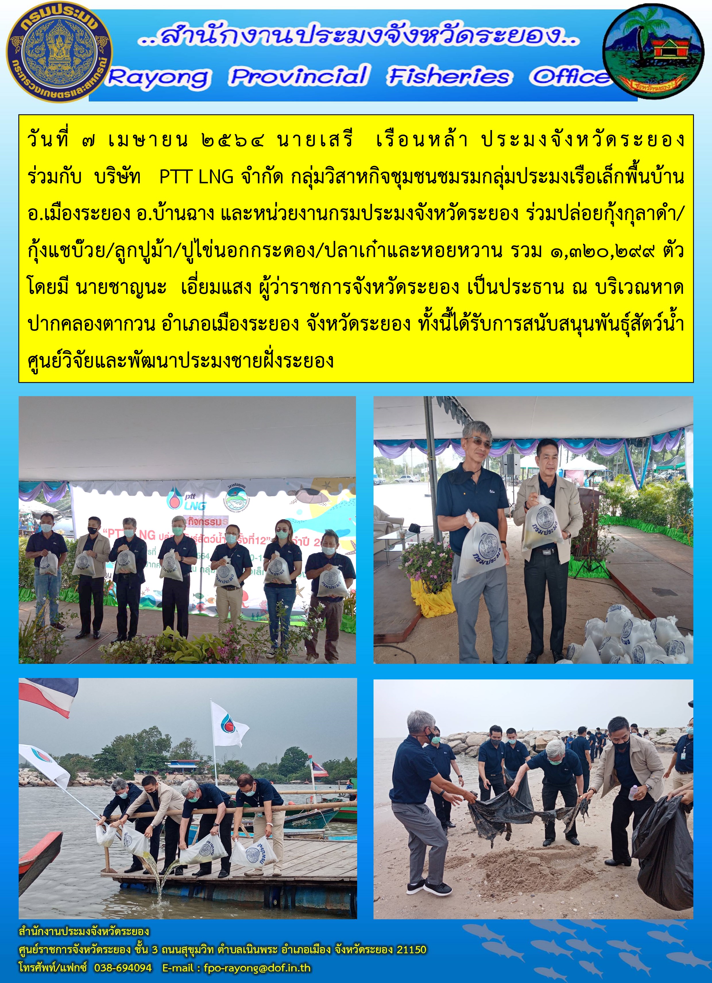 วันที่ 7 เมษายน 2564 นายเสรี  เรือนหล้า ประมงจังหวัดระยอง ร่วมปล่อยพันธุ์สัตว์น้ำ ณ บริเวณชายหาดปากคลองตากวน อำเภอเมืองระยอง
