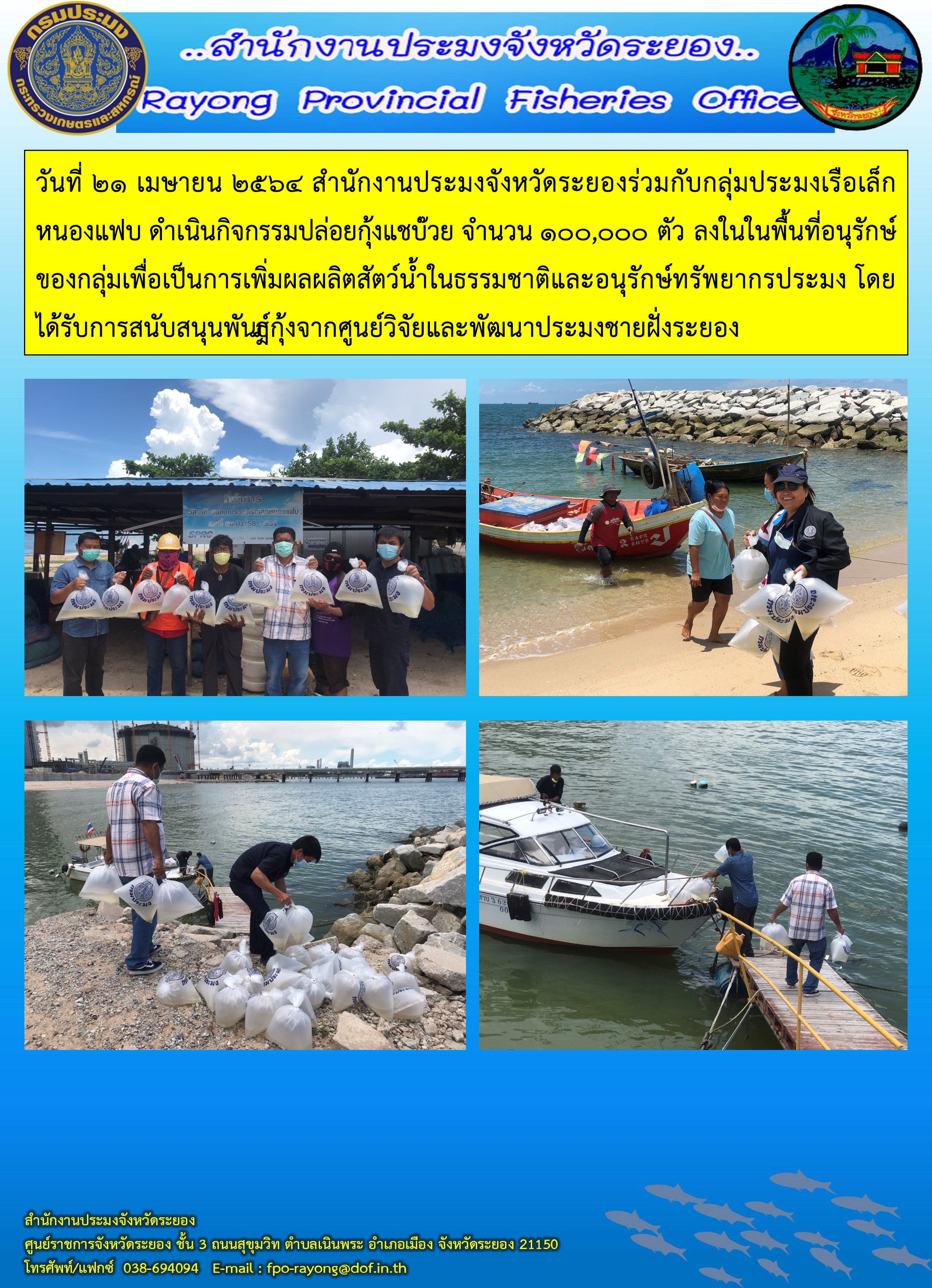 วันที่ 21 เมษายน 2564 สำนักงานประมงจังหวัดระยองร่วมกับกลุ่มประมงเรือเล็กหนองแฟบ ดำเนินกิจกรรมปล่อยกุ้งแชบ๊วย จำนวน 100,000 ตัว