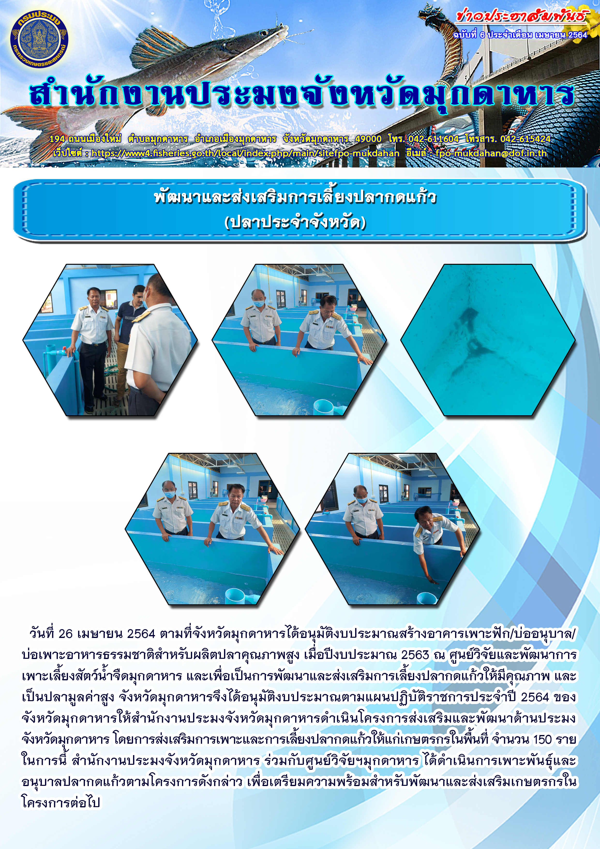 จังหวัดมุกดาหาร พัฒนาและส่งเสริมการเลี้ยงปลากดแก้ว(ปลาประจำจังหวัด)