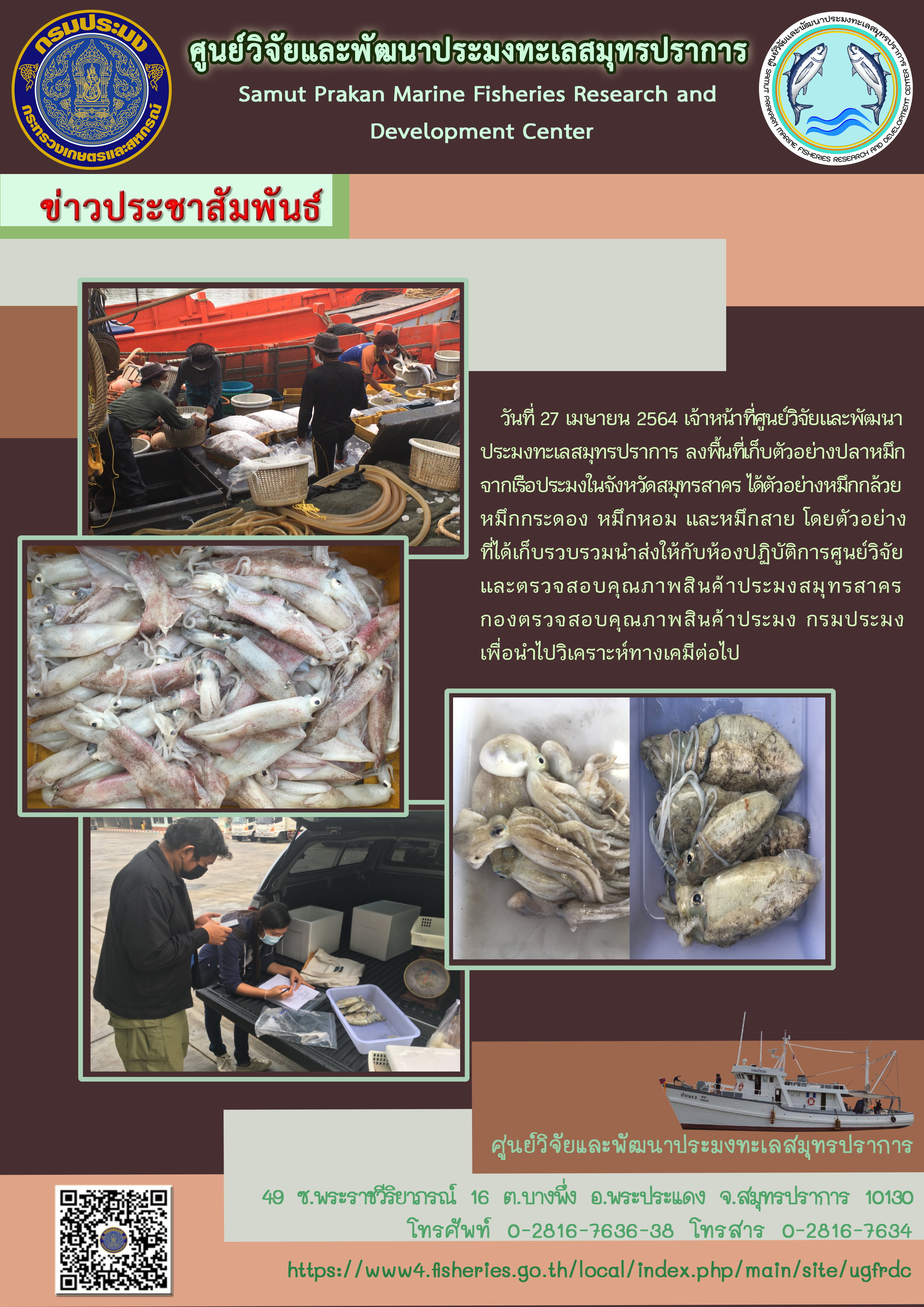 เจ้าหน้าที่ศูนย์วิจัยและพัฒนาประมงทะเลสมุทรปราการ ลงพื้นที่เก็บตัวอย่างหมึก..คลิก