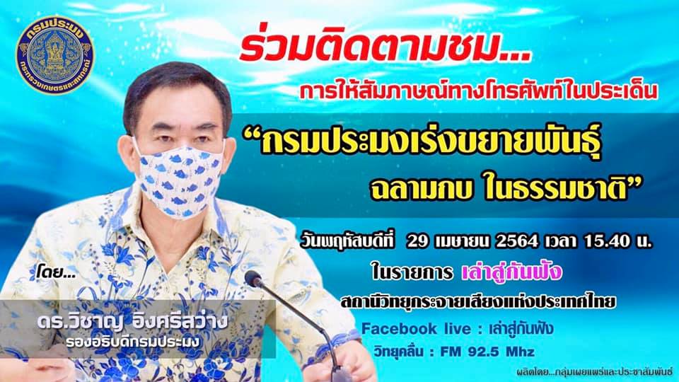 ร่วมติดตามรับชม Live สดการสัมภาษณ์ทางโทรศัพท์ของ ดร.วิชาญ อิงศรีสว่าง รองอธิบดีกรมประมง ในประเด็นเรื่อง “กรมประมงเร่งขยายพันธ์ุฉลามกบ ตามแผนฟื้นฟูและอนุรักษ์ทรัพยากรสัตว์น้ำหายากใกล้สูญพันธุ์”..คลิก
