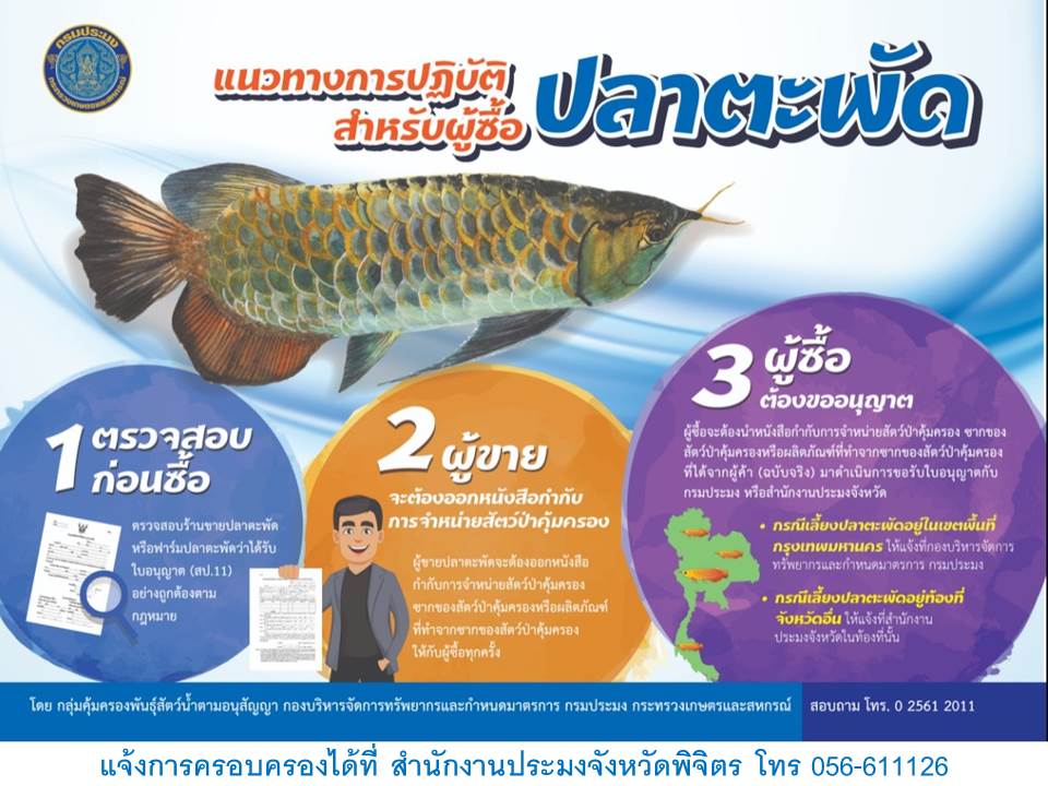 การแจ้งครอบครอง สัตว์ป่าคุ้มครองจำพวกปลาตะพัด