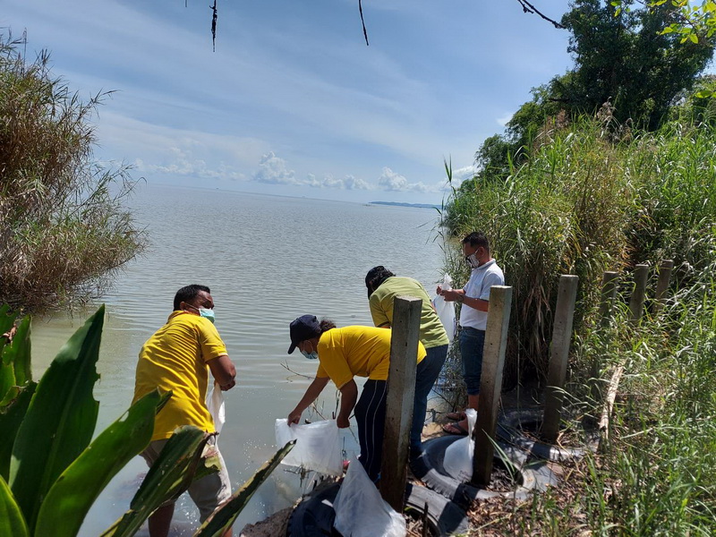 สนับสนุนพันธุ์กุ้งก้ามกราม เพื่อปล่อยลงสู่ทะเลสาบสงขลา พื้นที่จังหวัดพัทลุง..คลิก