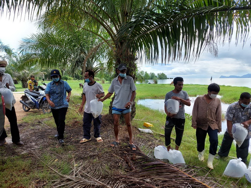 สนับสนุนพันธุ์ปลากินพืช เพื่อปล่อยลงสู่ทะเลสาบสงขลา พื้นที่จังหวัดพัทลุง..คลิก