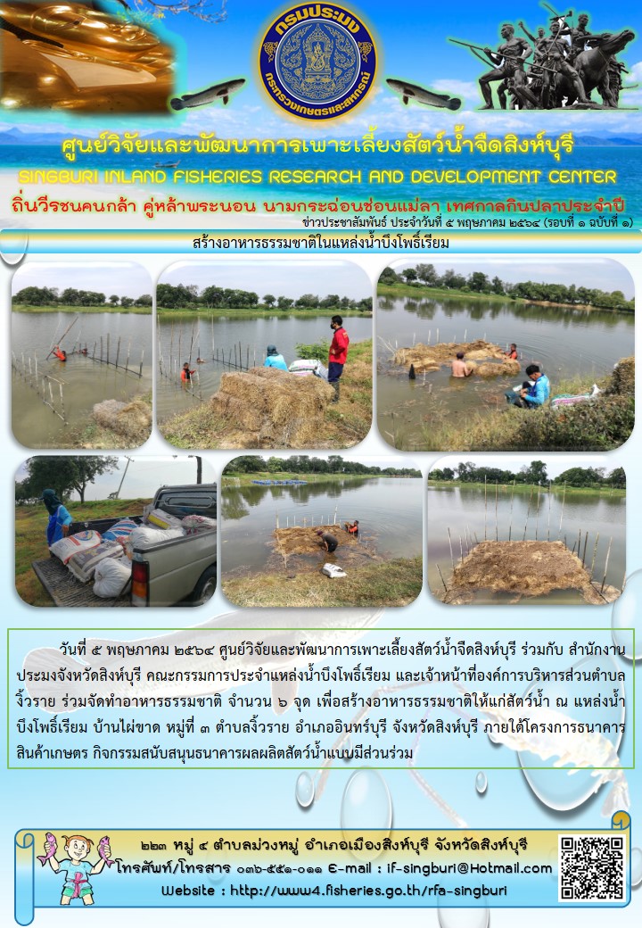 สร้างอาหารธรรมชาติในแหล่งน้ำบึงโพธิ์เรียม..คลิก
