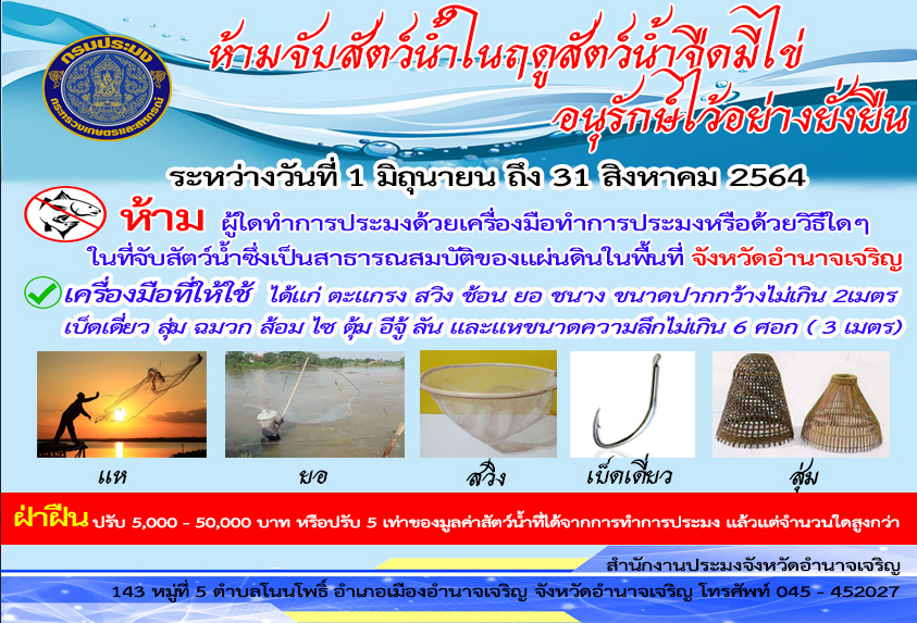 ห้ามจับสัตว์น้ำในฤดูสัตว์น้ำมีไข่ วางไข่ เลี้ยงตัวอ่อน ประจำปี 2564..คลิก