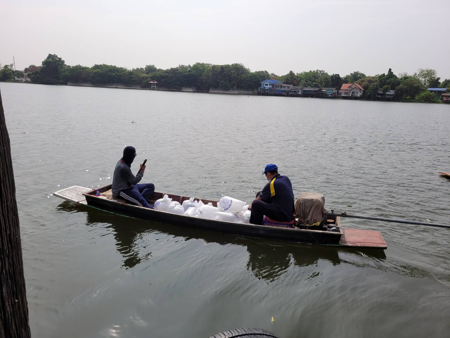 วันที่ 20 พฤษภาคม 2564 นายนรินทร์ มีวงศ์ ประมงจังหวัดปทุมธานี พร้อมด้วยเจ้าหน้าที่สำนักงานประมงจังหวัดปทุมธานี ร่วมกับศูนย์ป้องกันและปราบปรามประมงน้ำจืดพระนครศรีอยุธยา ออกรณรงค์และประชาสัมพันธ์มาตรการทำการประมงในช่วงฤดูปลาวางไข่ ระหว่างวันที่ 1 มิถุนายน ถึง 31 สิงหาคม 2564 ตามประกาศกรมประมง ฉบับที่ 30 เมษายน 2564 ให้กับชาวประมง กลุ่มองค์กรชุมชนประมงท้องถิ่น และประชาชนทั่วไป ริมฝั่งแม่น้ำเจ้าพระยา และจัดกิจกรรมปล่อยพันธุ์สัตว์น้ำเพื่อสร้างจิตสำนึกในการอนุรักษ์และเพิ่มผลผลิตในแหล่งน้ำ ได้รับการสนับสนุนพันธุ์ปลาน้ำจืด จำนวน 200,000 ตัว จากศูนย์วิจัยและพัฒนาการเพาะเลี้ยงสัตว์น้ำจืดปทุมธานี เขตแม่น้ำเจ้าพระยา อำเภอเมืองปทุมธานี และอำเภอสามโคก จังหวัดปทุมธานี..คลิก