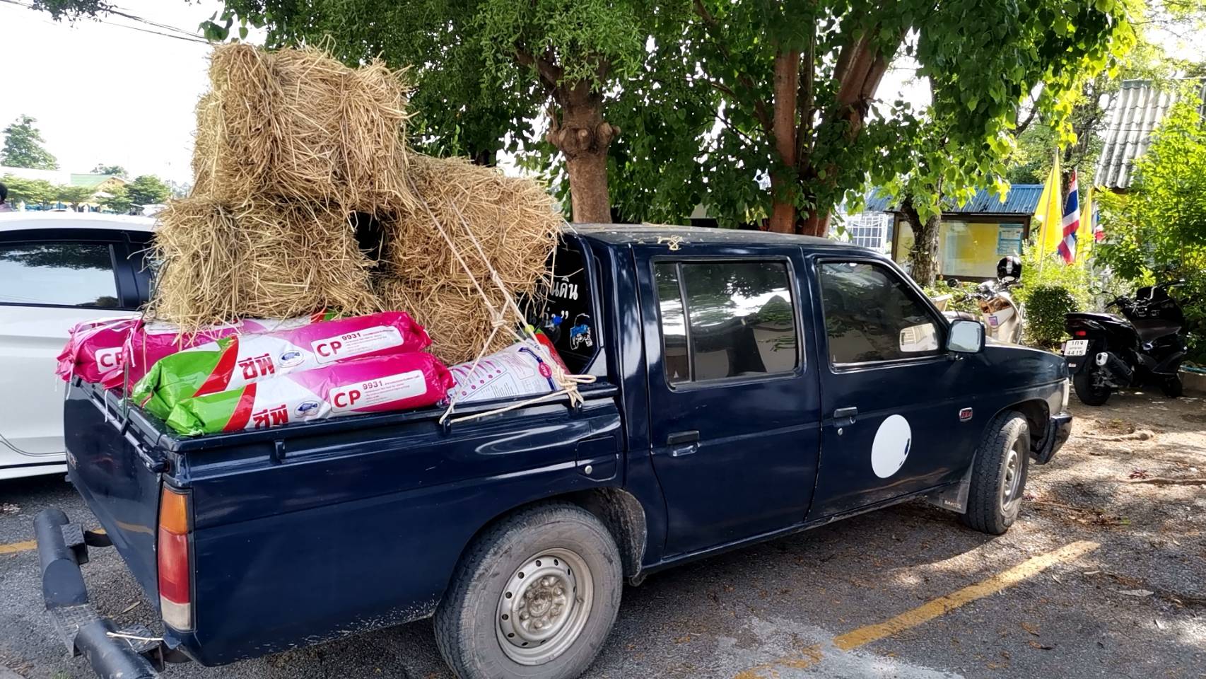 โครงการพัฒนาเกษตรกรรมยั่งยืน กิจกรรมส่งเสริมเกษตรทฤษฎีใหม่ด้านการประมง..คลิก