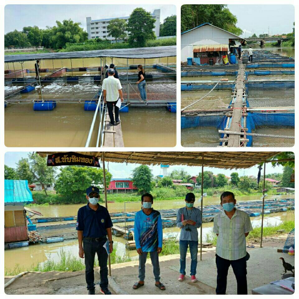 ลงพื้นที่ตรวจติดตามการเพาะเลี้ยงสัตว์น้ำควบคุม ประเภทการเลี้ยงสัตว์น้ำในกระชัง..คลิก
