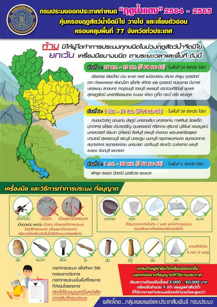 ประกาศกำหนด ฤดูน้ำแดง 2564 -2565 คุ้มครองฤดูสัตว์น้ำจืดมีไข่ วางไข่ และเลี้ยงตัวอ่อน..คลิก