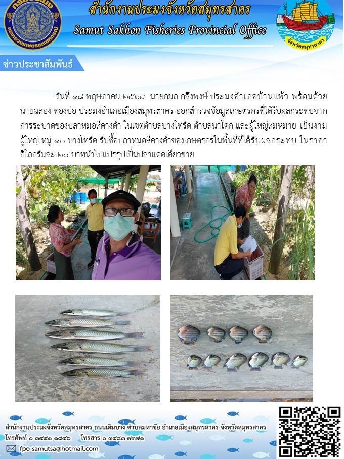สำรวจข้อมูลเกษตรกรที่ได้รับผลกระทบจากการระบาดของปลาหมอสีคางดำ ในเขตตำบลบางโทรัด ตำบลนาโคก..คลิก