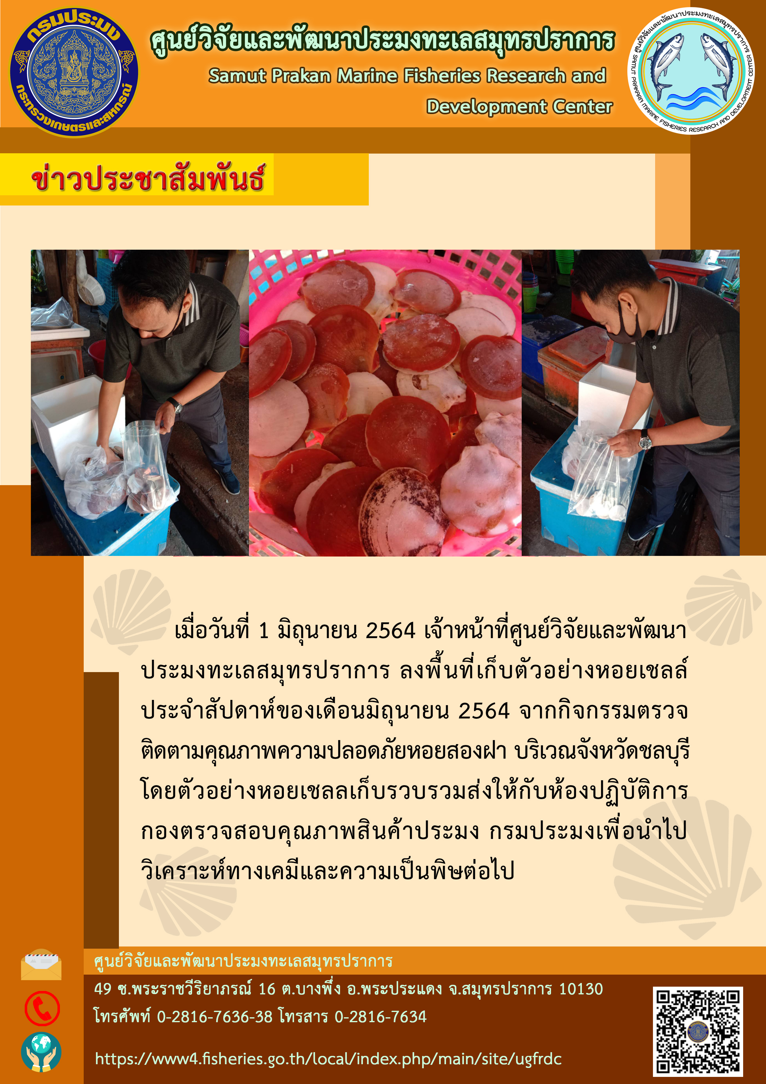 เจ้าหน้าที่ศูนย์วิจัยและพัฒนาประมงทะเลสมุทรปราการ ลงพื้นที่เก็บตัวอย่างหอยเชลล์บริเวณจังหวัดชลบุรี..คลิก