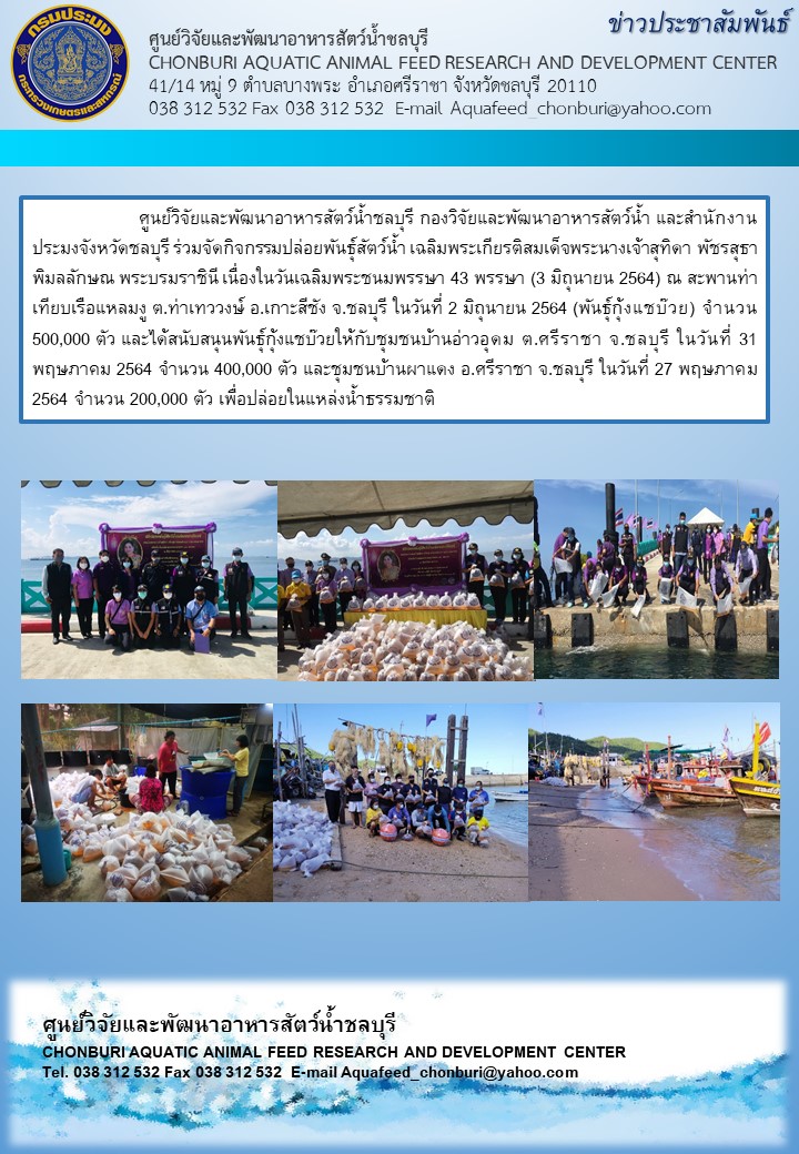 ข่าวประชาสัมพันธ์ : ศูนย์วิจัยและพัฒนาอาหารสัตว์น้ำชลบุรี กองวิจัยและพัฒนาอาหารสัตว์น้ำ และสำนักงานประมงจังหวัดชลบุรี ร่วมจัดกิจกรรมปล่อยพันธุ์สัตว์น้ำ เฉลิมพระเกียรติสมเด็จพระนางเจ้าสุทิดา พัชรสุธาพิมลลักษณ พระบรมราชินี เนื่องในวันเฉลิมพระชนมพรรษา 43 พรรษา (3 มิถุนายน 2564) ณ สะพานท่าเทียบเรือแหลมงู ต.ท่าเทววงษ์ อ.เกาะสีชัง จ.ชลบุรี ในวันที่ 2 มิถุนายน 2564 (พันธุ์กุ้งแชบ๊วย) จำนวน 500,000 ตัว และได้สนับสนุนพันธุ์กุ้งแชบ๊วยให้กับชุมชนบ้านอ่าวอุดม ต.ศรีราชา จ.ชลบุรี ในวันที่ 31 พฤษภาคม 2564 จำนวน 400,000 ตัว และชุมชนบ้านผาแดง อ.ศรีราชา จ.ชลบุรี ในวันที่ 27 พฤษภาคม 2564 จำนวน 200,000 ตัว เพื่อปล่อยในแหล่งน้ำธรรมชาติ