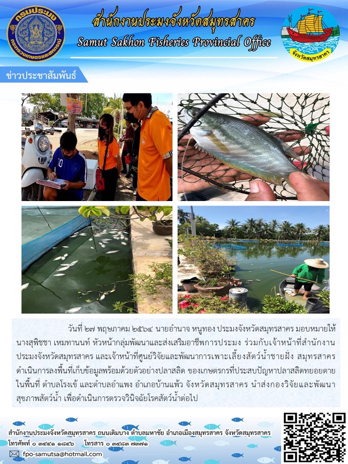 ลงพื้นที่เก็บข้อมูลพร้อมด้วยตัวอย่างปลาสลิดของเกษตรกรที่ประสบปัญหาปลาสลิดทยอยตายในพื้นที่ ตำบลโรงเข้ และตำบลอำแพง อำเภอบ้านแพ้ว จังหวัดสมุทรสาคร..คลิก