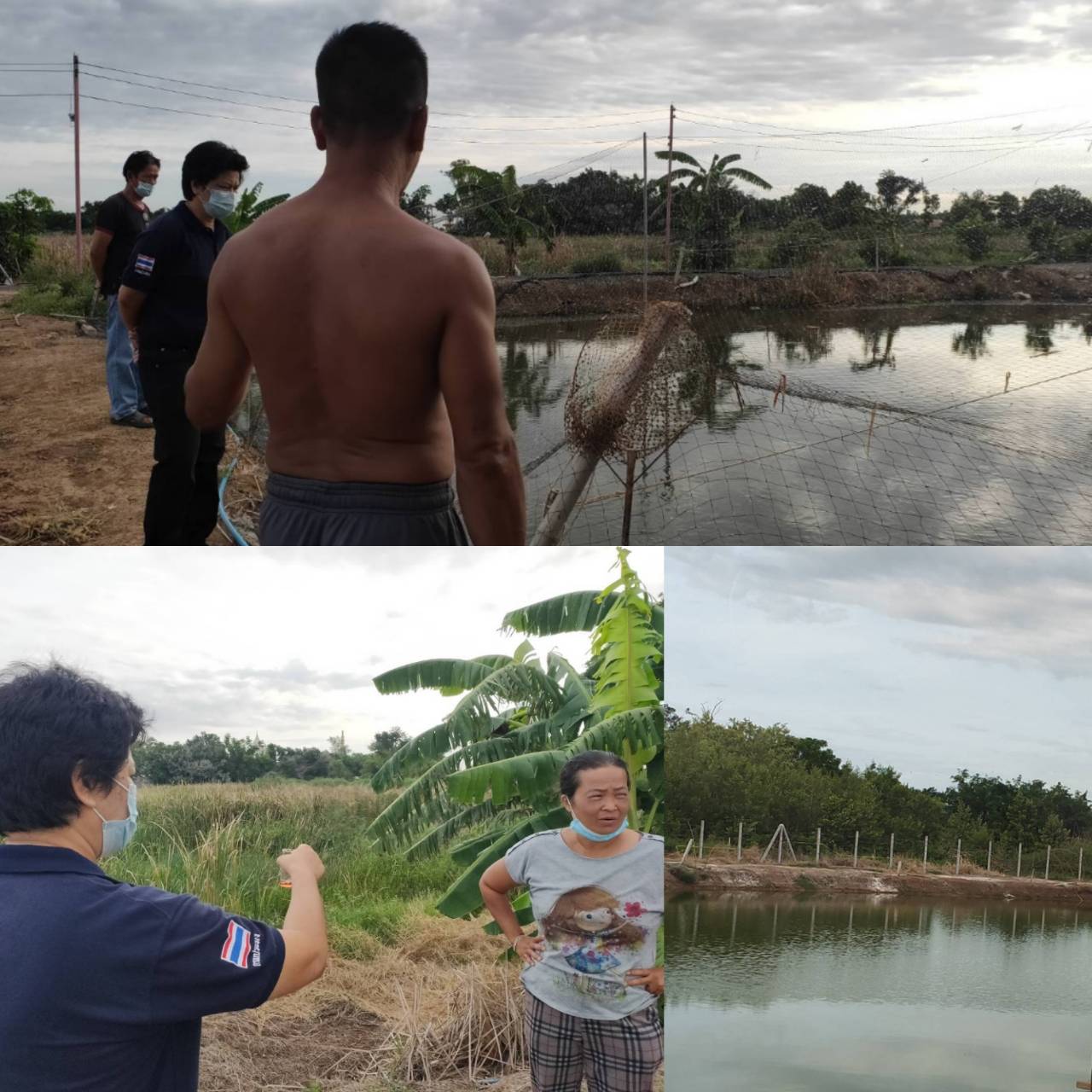 ประมงอำเภอหนองแค ได้รับแจ้ง ปลาดุกตายในบ่อเลี้ยง ในพื้นที่ตำบลโคกตูม อำเภอหนองแค จังหวัดสระบุรี
