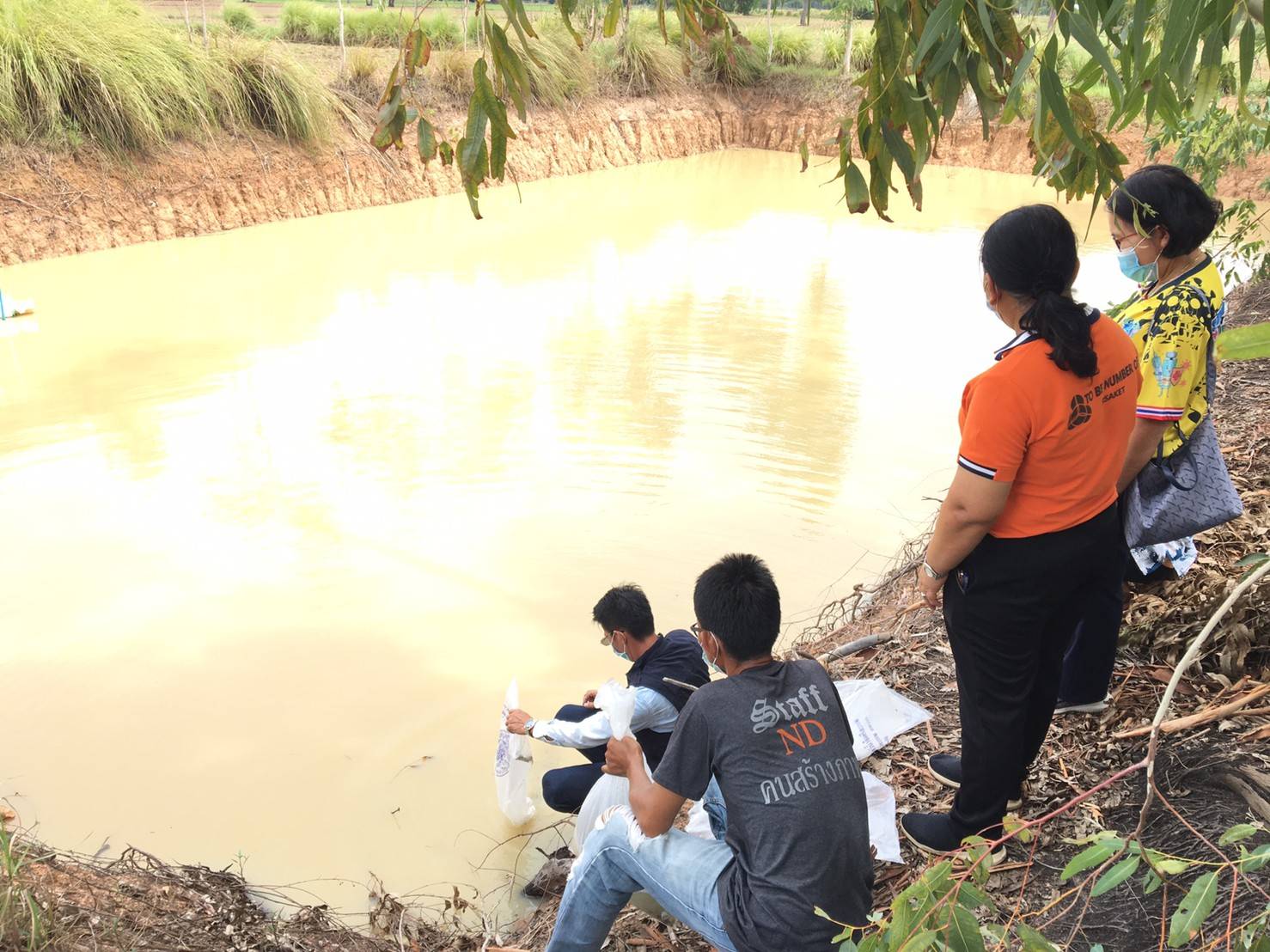 สำนักงานประมงจังหวัดศรีสะเกษ มอบปัจจัยการผลิตแก่เกษตรกรโครงการเกษตรกรรมยั่งยืน กิจกรรมส่งเสริมเกษตรทฤษฎีใหม่ด้านประมง ปีงบประมาณ 2564 อำเภอวังหิน..คลิก