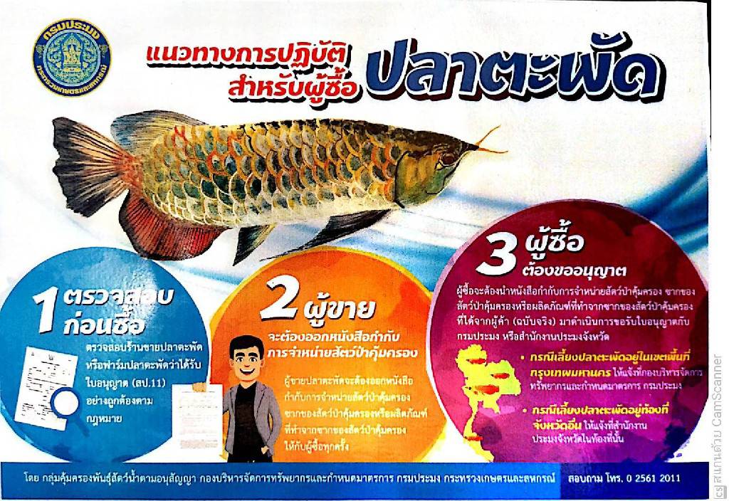 แนวทางการปฏิบัติสำหรับผู้ซื้อปลาตะพัด..คลิก