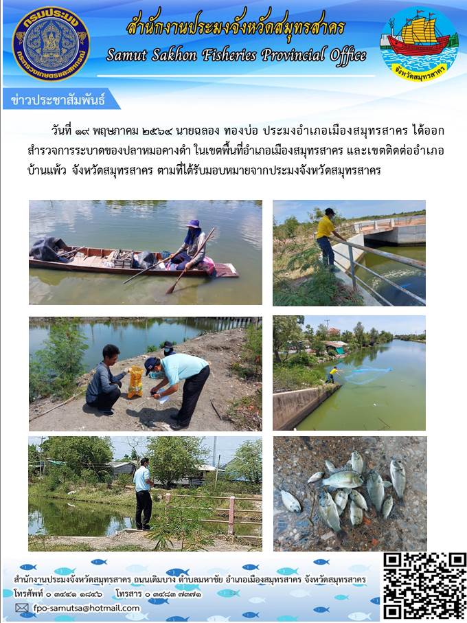 ลงพื้นที่สำรวจการระบาดของปลาหมอคางดำ ในเขตพื้นที่อำเภอเมืองสมุทรสาคร และเขตติดต่ออำเภอบ้านแพ้ว จังหวัดสมุทรสาคร..คลิก