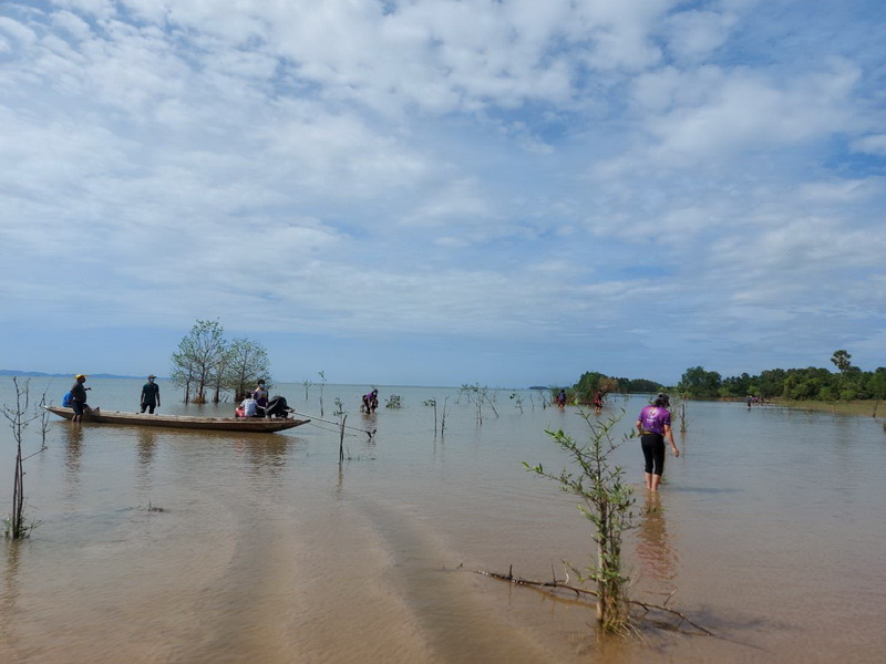 สนับสนุนพันธุ์ปลากินพืช เพื่อปล่อยลงสู่ทะเลสาบสงขลา พื้นที่จังหวัดพัทลุง..คลิก