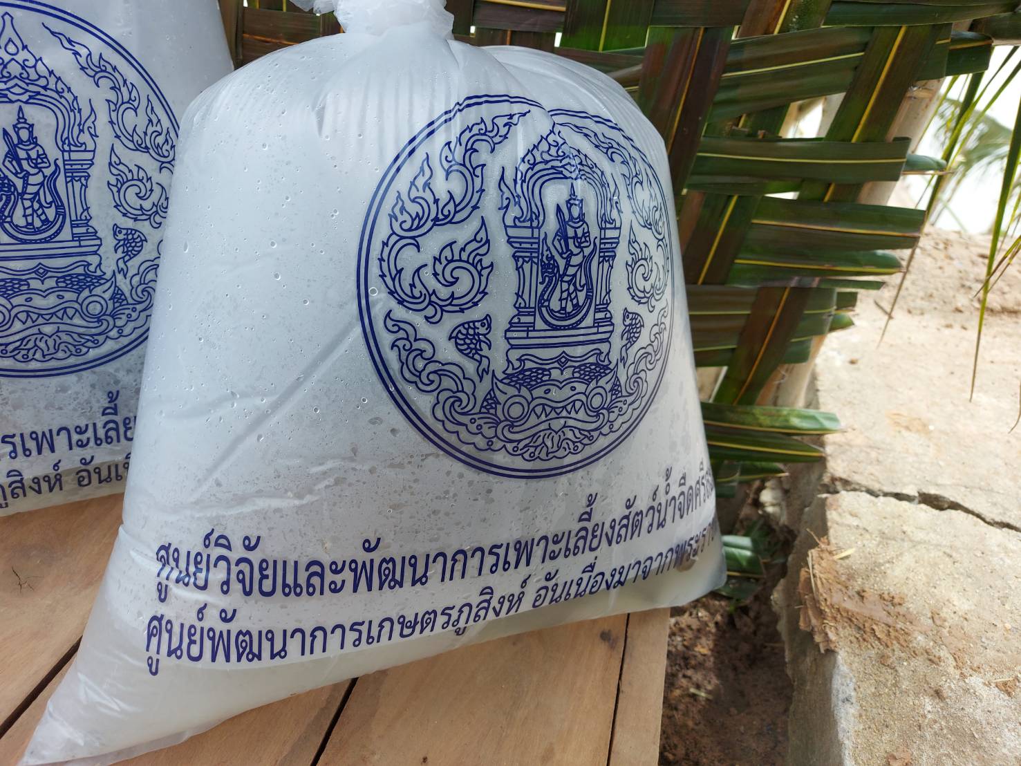 นายยุทธจิตร พวงอินทร์ ประมงอำเภอขุขันธ์ เข้าร่วมต้อนรับคณะกรรมการประเมินและให้กำลังใจคณะกรรมการหมู่บ้าน หมู่บ้านเข็มแข็งตามแนวทาง 