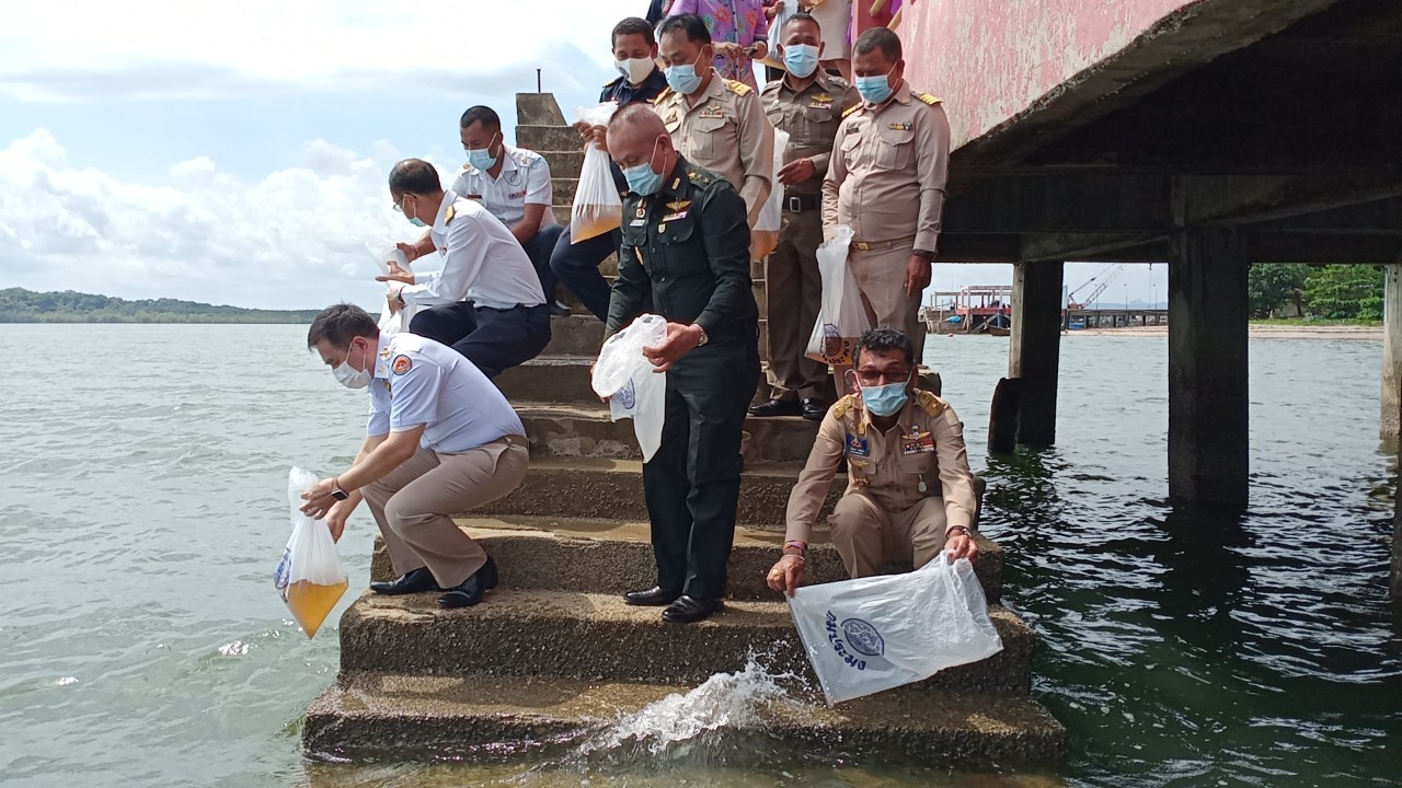 พิธีปล่อยพันธุ์สัตว์น้ำเพื่อเป็นการเฉลิมพระเกียรติและถวายเป็นพระราชกุศล..คลิก