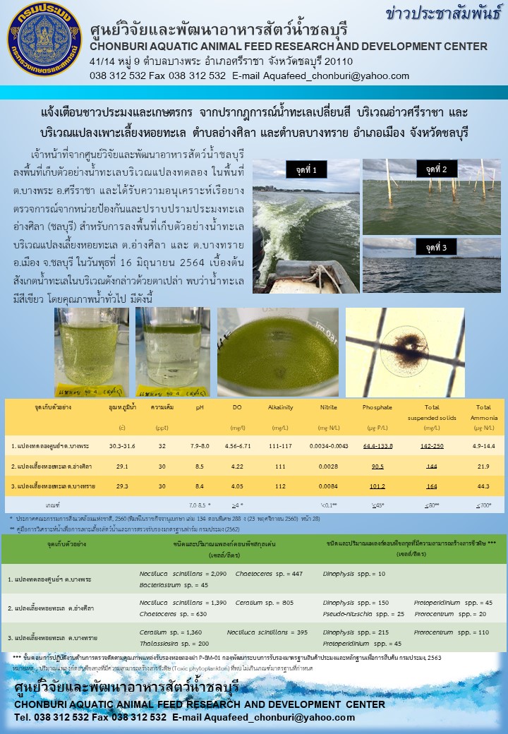ข่าวประชาสัมพันธ์ : แจ้งเตือนชาวประมงและเกษตรกร จากปรากฎการณ์น้ำทะเลเปลี่ยนสี บริเวณอ่าวศรีราชา และ บริเวณแปลงเพาะเลี้ยงหอยทะเล ตำบลอ่างศิลา และตำบลบางทราย อำเภอเมือง จังหวัดชลบุรี