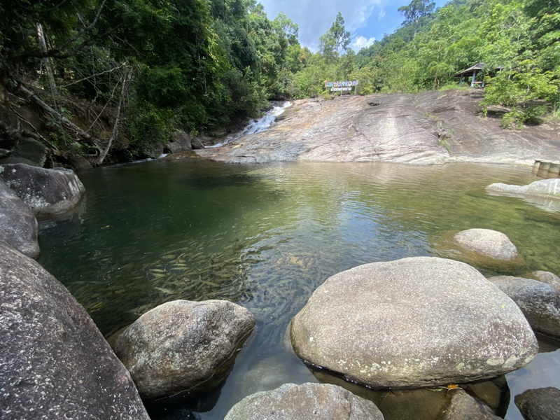 สำรวจการเจริญเติบโตของพันธุ์ปลา กิจกรรมเพิ่มผลผลิตสัตว์น้ำในแหล่งน้ำชุมชน..คลิก