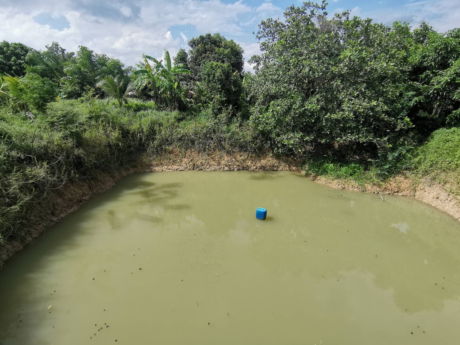 ตรวจเยี่ยมศูนย์เรียนรู้การเพิ่มประสิทธิภาพการผลิตสินค้าการเกษตร ด้านการประมง..คลิก