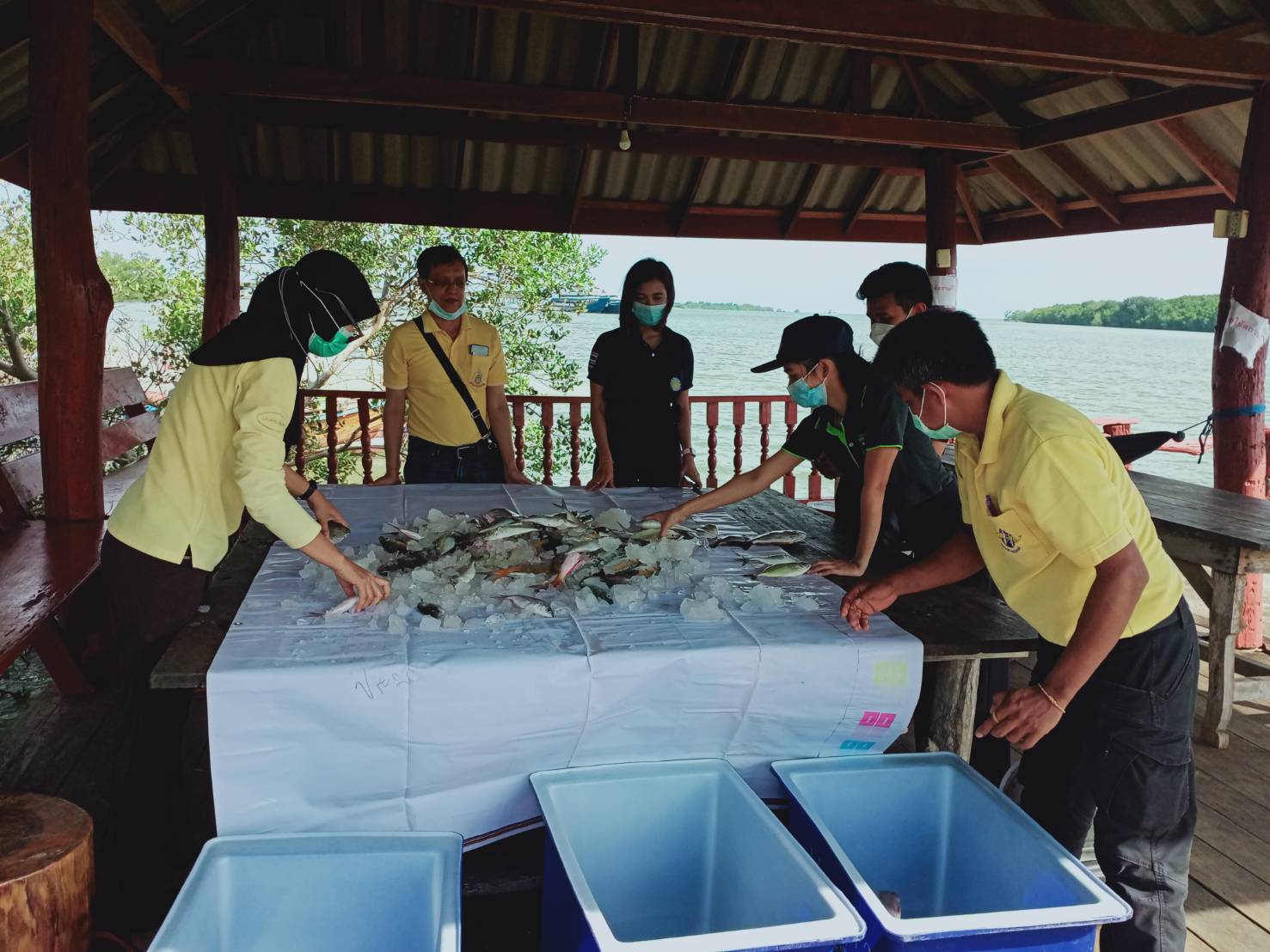 ร่วมขายทอดตลาดสัตว์น้ำหรือผลิตภัณฑ์สัตว์น้ำ..คลิก