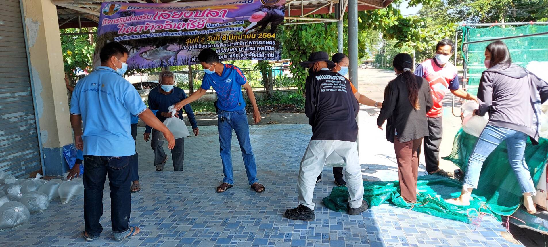 สำนักงานประจังหวัดศรีสะเกษ มอบ พันธุ์ปลาตะเพียน แก่เกษตรกรโครงการส่งเสริมเกษตรอินทรีย์ อำเภอปรางค์กู่..คลิก