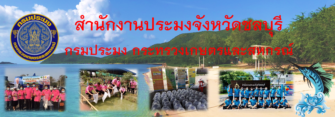 สำนักงานประมงจังหวัดชลบุรี..คลิก