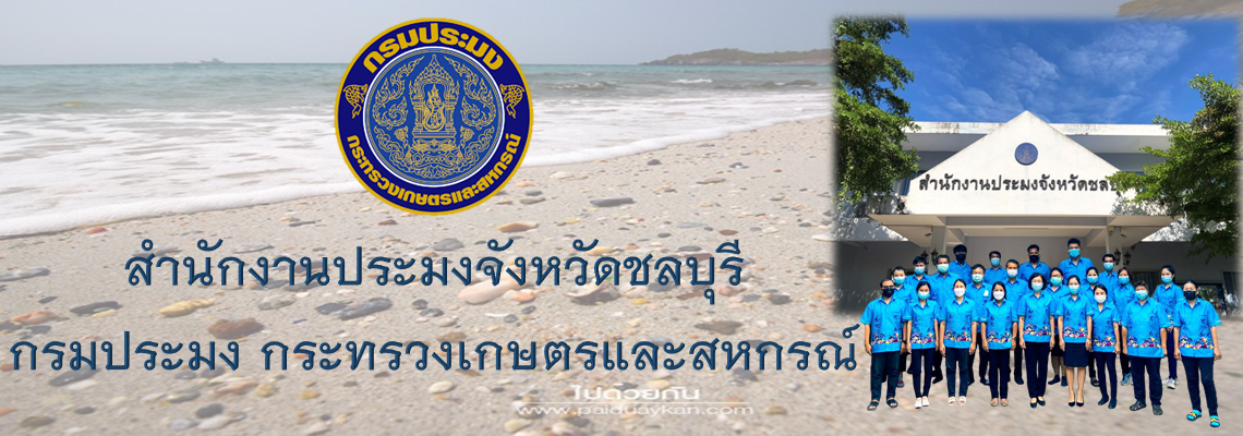 สำนักงานประมงจังหวัดชลบุรี..คลิก