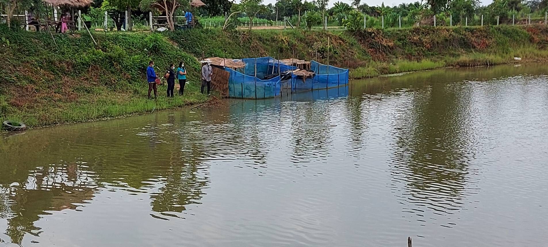 สำนักงานประมงจังหวัดศรีสะเกษ ร่วมกับศูนย์วิจัยและพัฒนาการเพาะเลี้ยงสัตว์น้ำจืด..คลิก