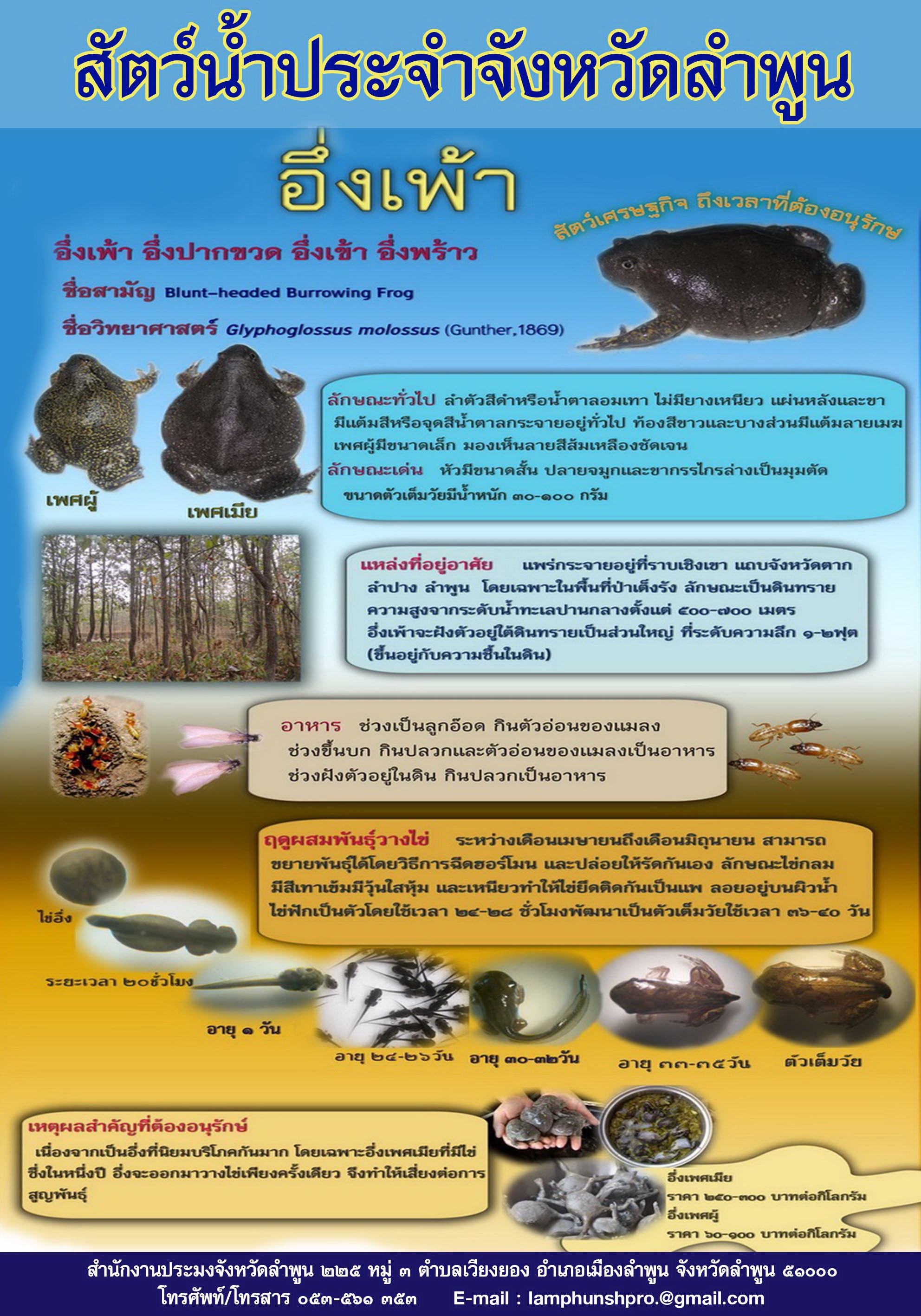 สัตว์น้ำประจำจังหวัดลำพูน..คลิก